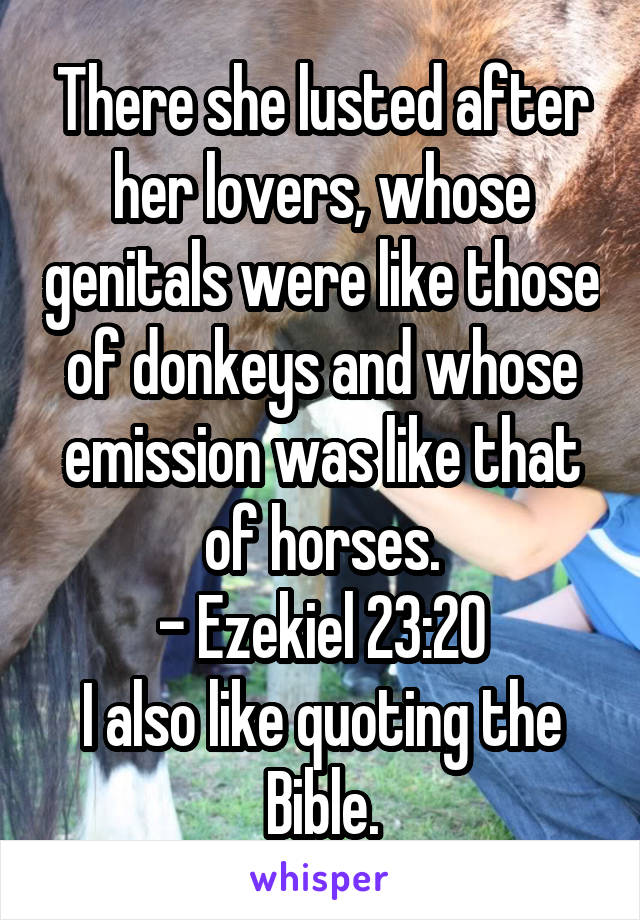 Donkey genitals in the bible